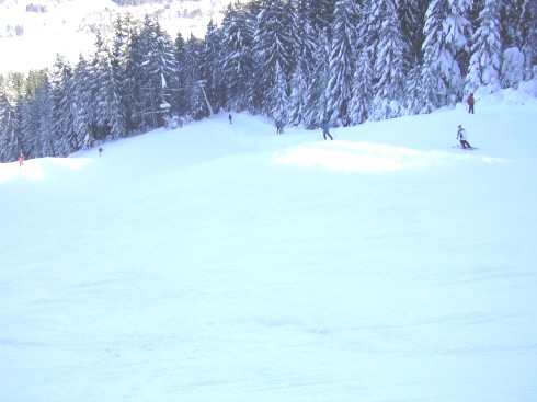 Diashow Bild 12 von 51