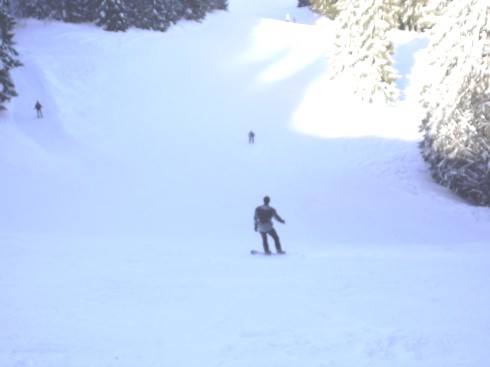 Diashow Bild 14 von 51